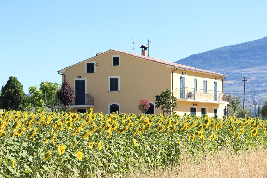 Il Podere Di Francesco Rivotorto Εξωτερικό φωτογραφία
