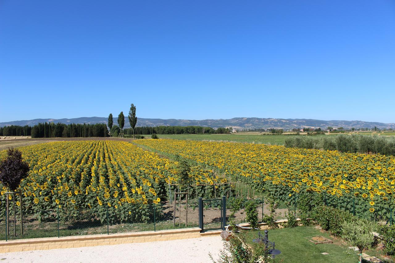 Il Podere Di Francesco Rivotorto Εξωτερικό φωτογραφία